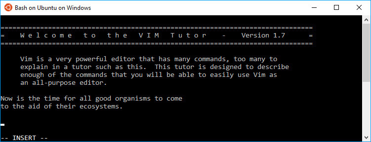 vim windows download